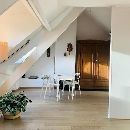 Oda ve Kahvaltı Maison D'artiste Gent